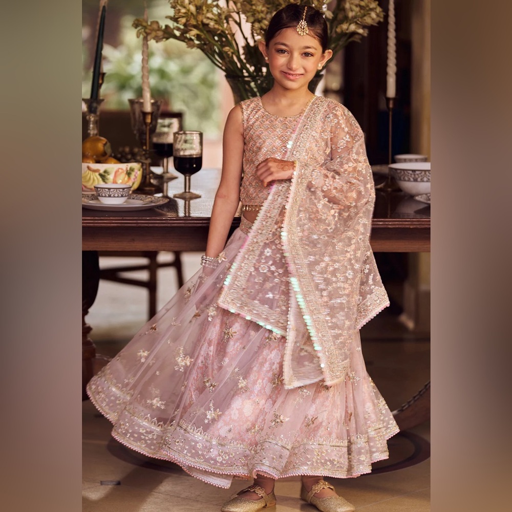 Girls Blush Embroidered Lehenga